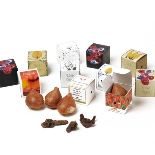 Mini bulb box - Image 5